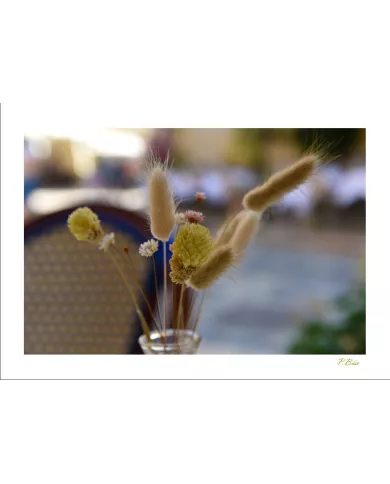 Cartes Ambiance - 3004-001