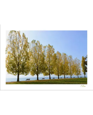 Cartes Ambiance - 4064-001