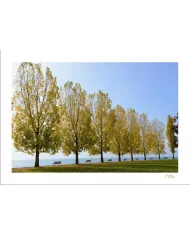 Cartes Ambiance - 4064-001