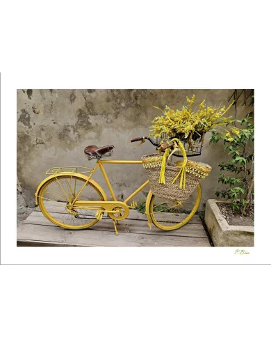 Cartes Ambiance - 104006-001