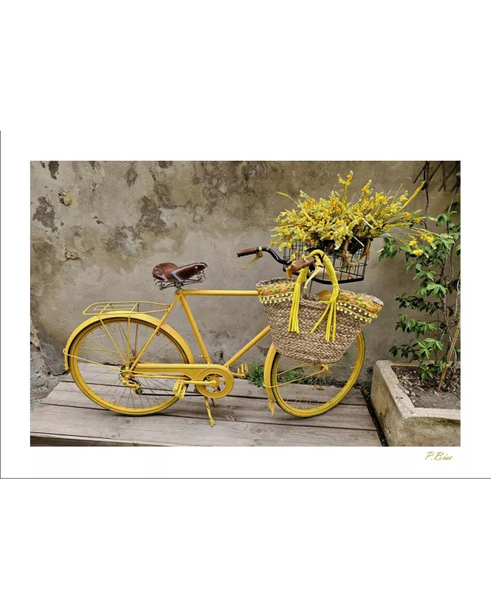 Cartes Ambiance - 104006-001