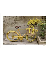 Cartes Ambiance - 4064-001