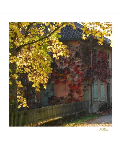 Cartes Ambiance C15 - 250-001