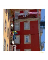 Cartes Ambiance C15 - 351-001
