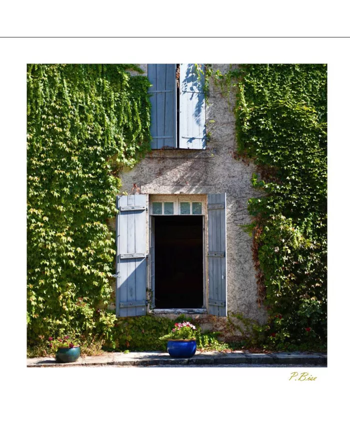 Cartes Ambiance C15 - 1466-001