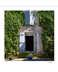 Cartes Ambiance C15 - 2376-001
