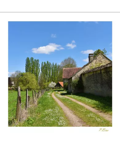 Cartes Ambiance C15 - 2376-001