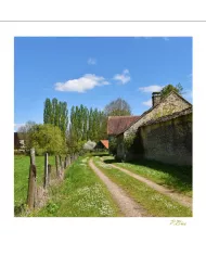 Cartes Ambiance C15 - 2523-001