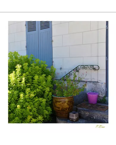 Cartes Ambiance C15 - 2523-001