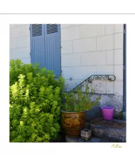 Cartes Ambiance C15 - 2918-001