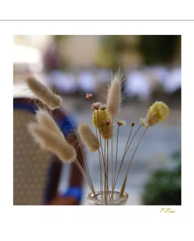 Cartes Ambiance C15 - 3006-001