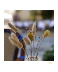 Cartes Ambiance C15 - 3013-001