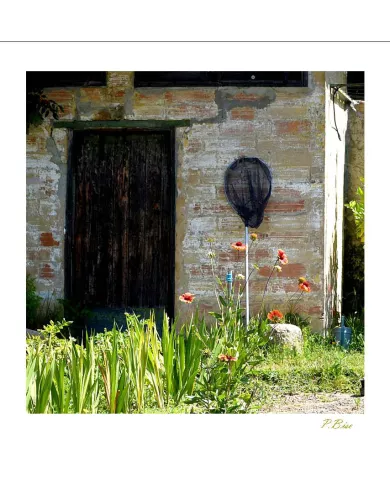 Cartes Ambiance C15 - 3013-001