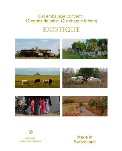 Paquet de 12 cartes de table - Exotique