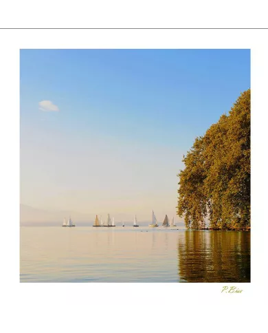 Cartes Eaux - 3341-002