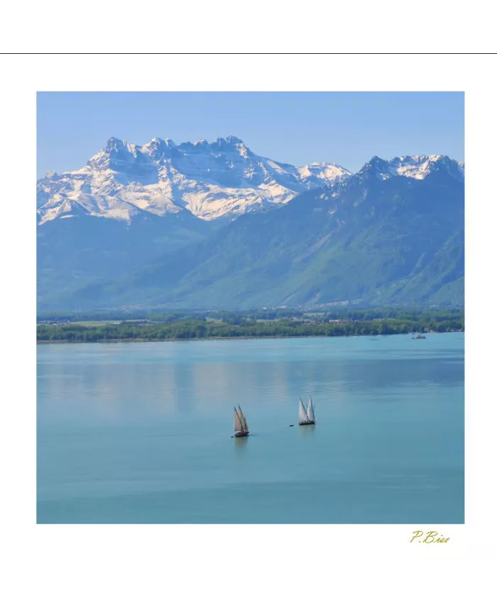 Cartes Eaux - 8586-002