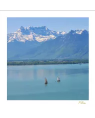 Cartes Eaux - 8586-002