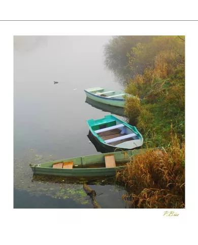 Cartes Eaux - 416-002