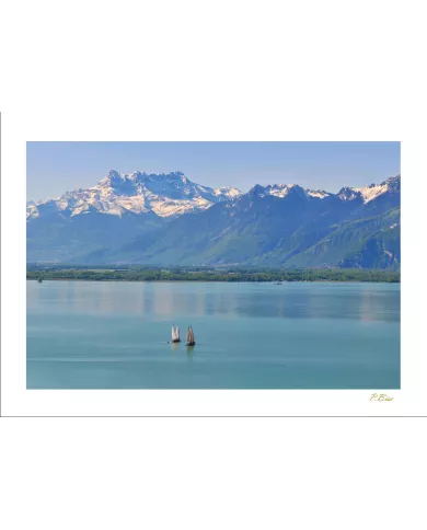 Cartes Eaux - 8564-002
