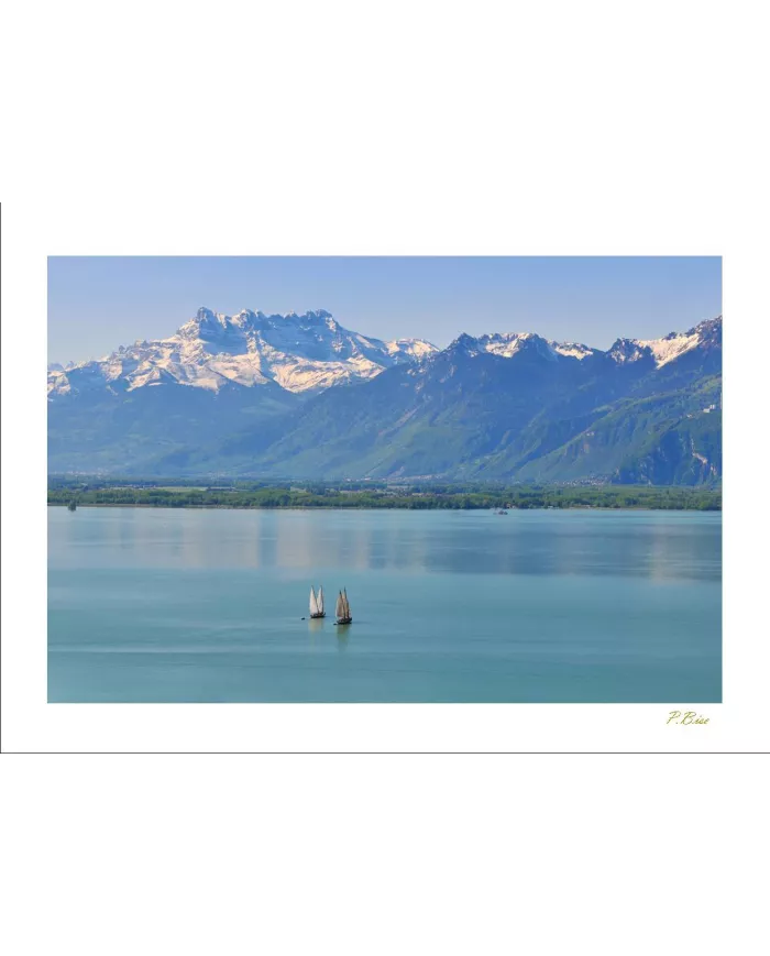 Cartes Eaux - 8564-002