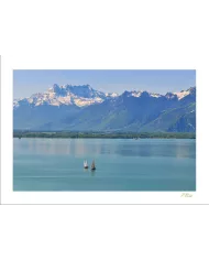 Cartes Eaux - 8564-002