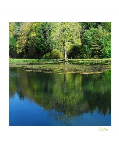 Cartes Eaux C15 - 140-002