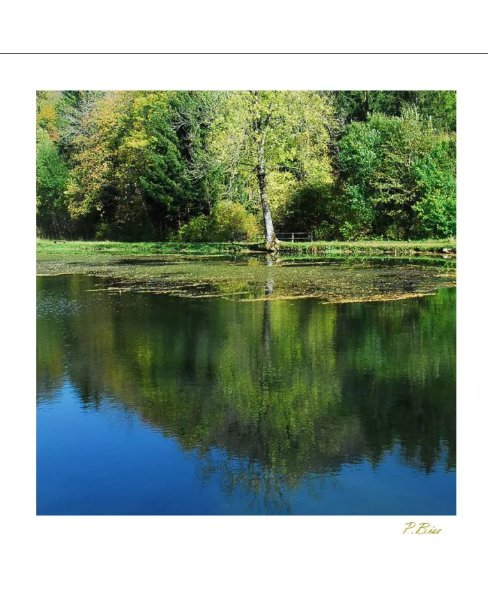 Cartes Eaux C15 - 140-002
