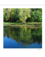 Cartes Eaux - 8564-002