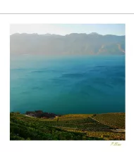 Cartes Lavaux - 70-41