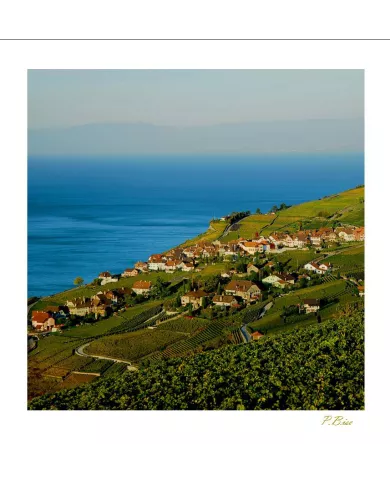 Cartes Lavaux - 70-41