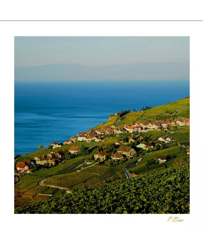 Cartes Lavaux - 70-41