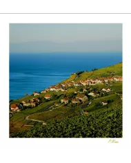 Cartes Lavaux - 70-41