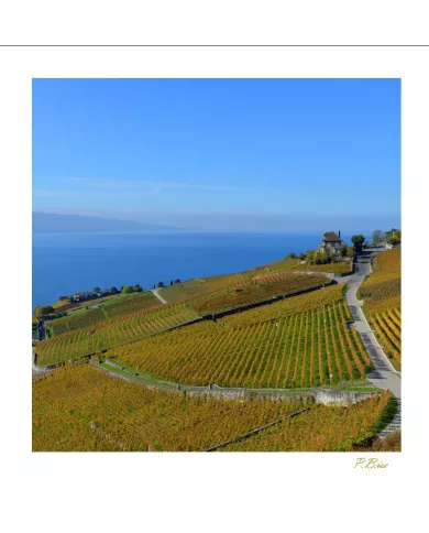 Cartes Lavaux - 1024-42