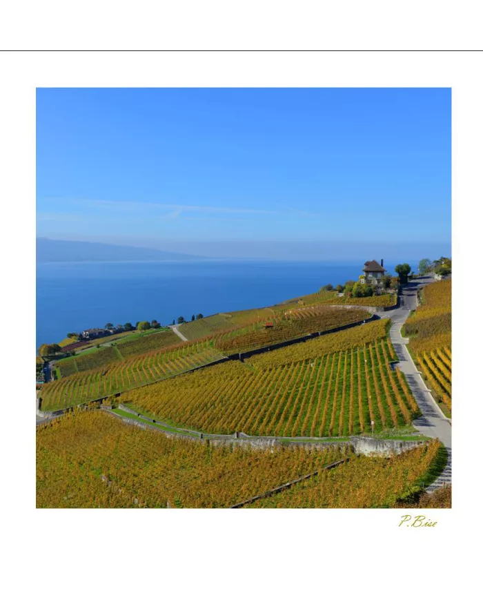 Cartes Lavaux - 1024-42