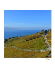 Cartes Lavaux - 1049-42
