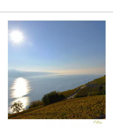 Cartes Lavaux - 1053-42