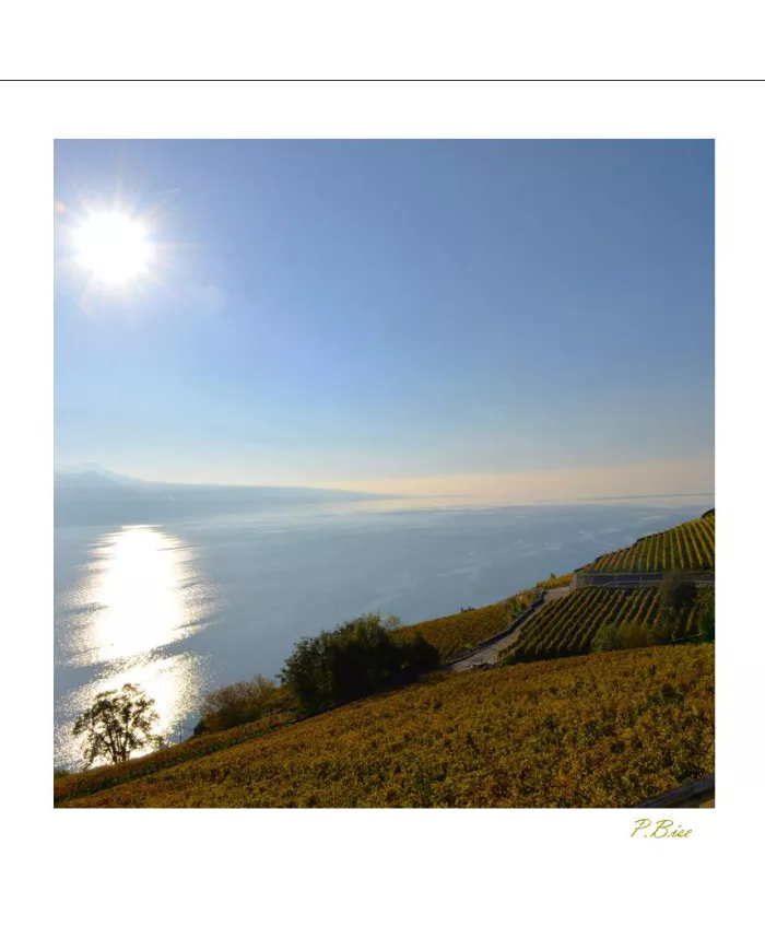 Cartes Lavaux - 1053-42
