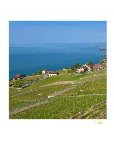 Cartes Lavaux - 1254-40