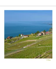 Cartes Lavaux - 1258-40