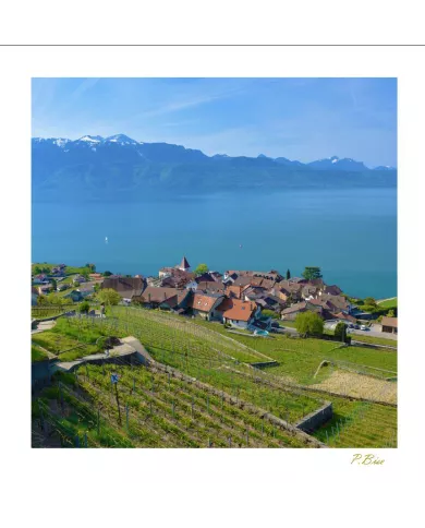 Cartes Lavaux - 1258-40