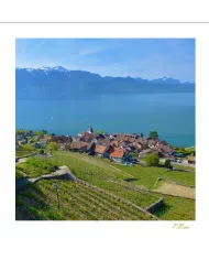 Cartes Lavaux - 1258-40