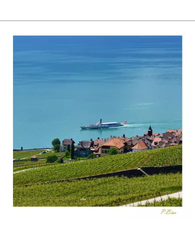 Cartes Lavaux - 1304-41