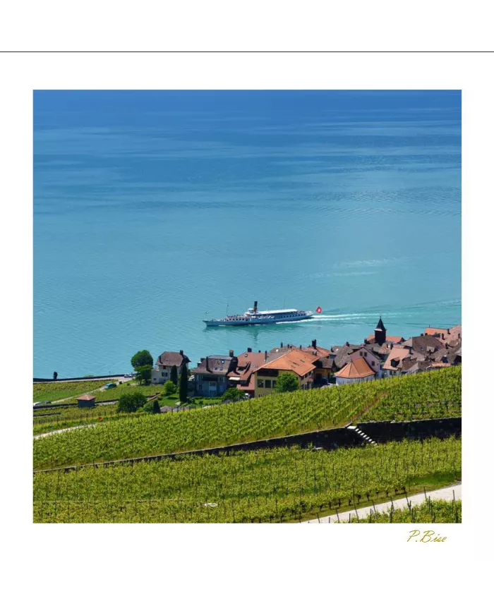 Cartes Lavaux - 1304-41