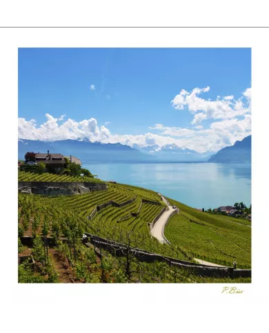 Cartes Lavaux - 1309-41