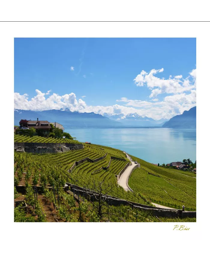 Cartes Lavaux - 1309-41
