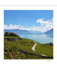 Cartes Lavaux - 1312-41