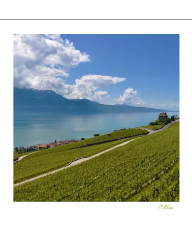 Cartes Lavaux - 1312-41