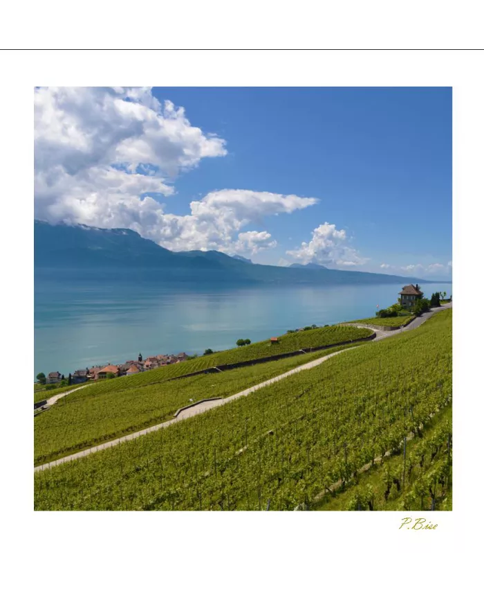 Cartes Lavaux - 1312-41