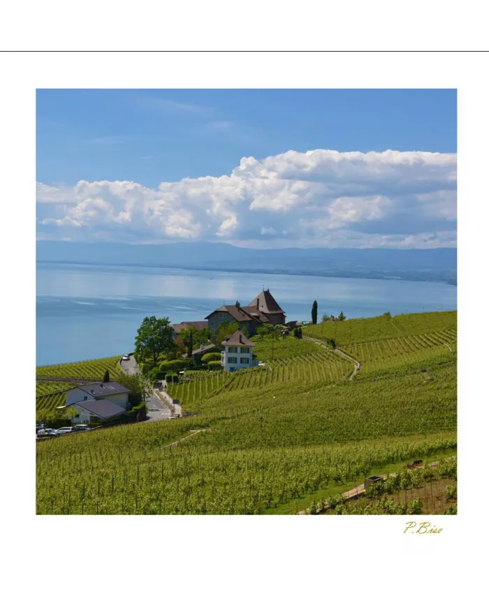 Cartes Lavaux - 1363-41