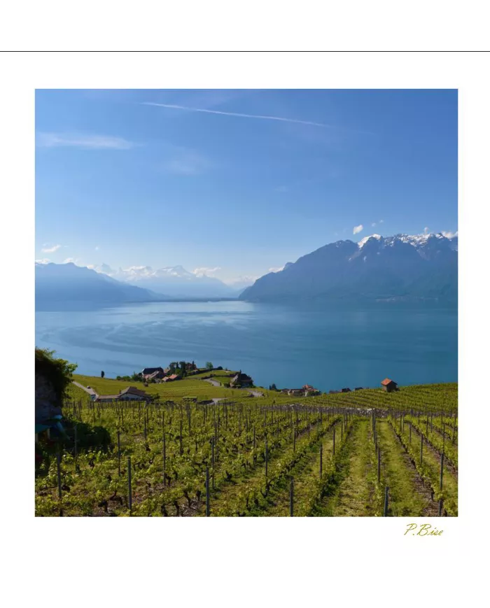 Cartes Lavaux - 1664-41